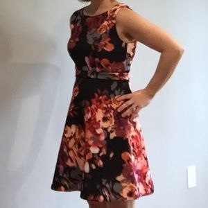 NWOT Cynthia Rowley Dress